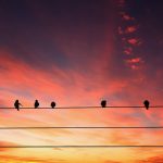 What Is…Powerline Networking?